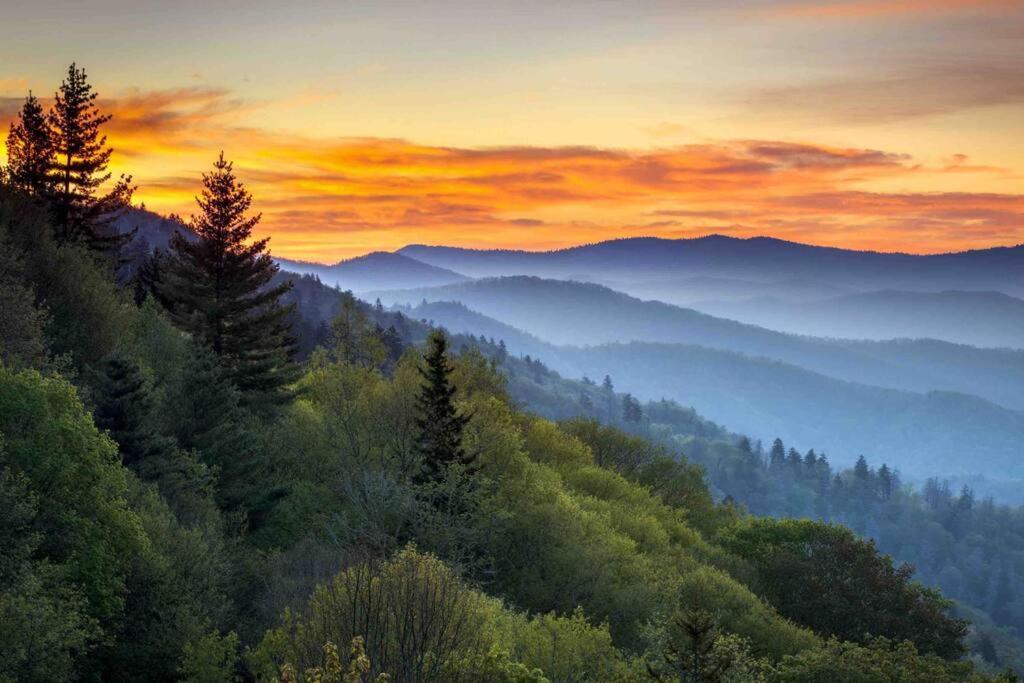 New! Modern Cabin With Two Decks, Bar & Game Room! Gatlinburg Eksteriør billede